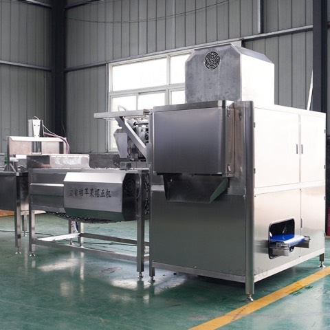 Peeling & pitting machine