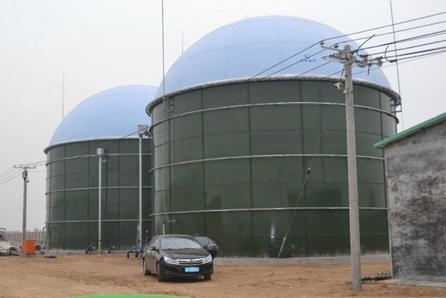 Biogas digester plant