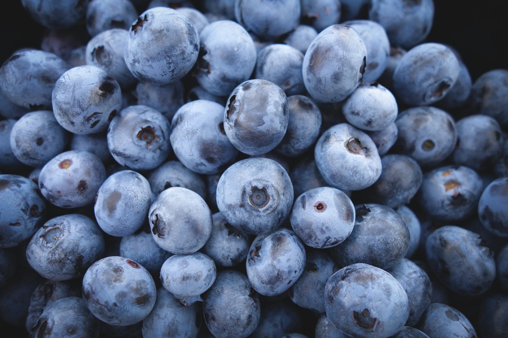 Fresh blueberries