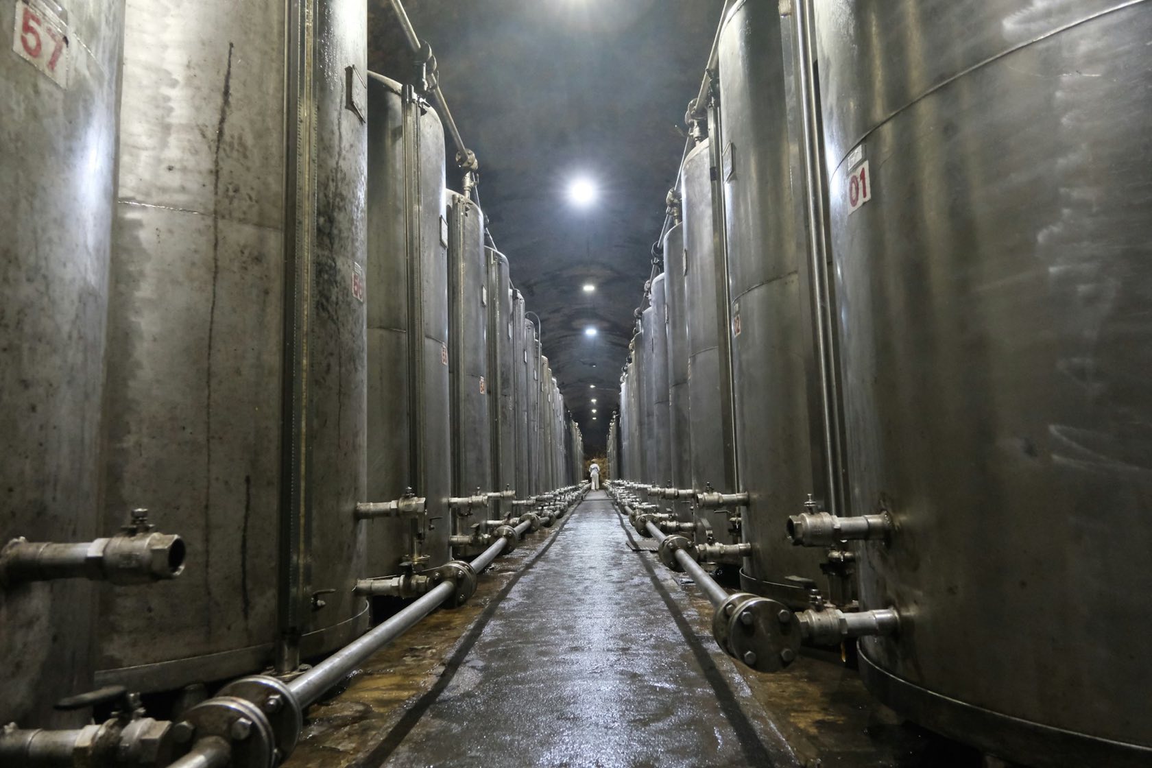 Row of stainless-steel process tanks in a processing plant